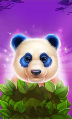 Luck of Panda: Bonus Combo